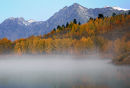 Morning Mist